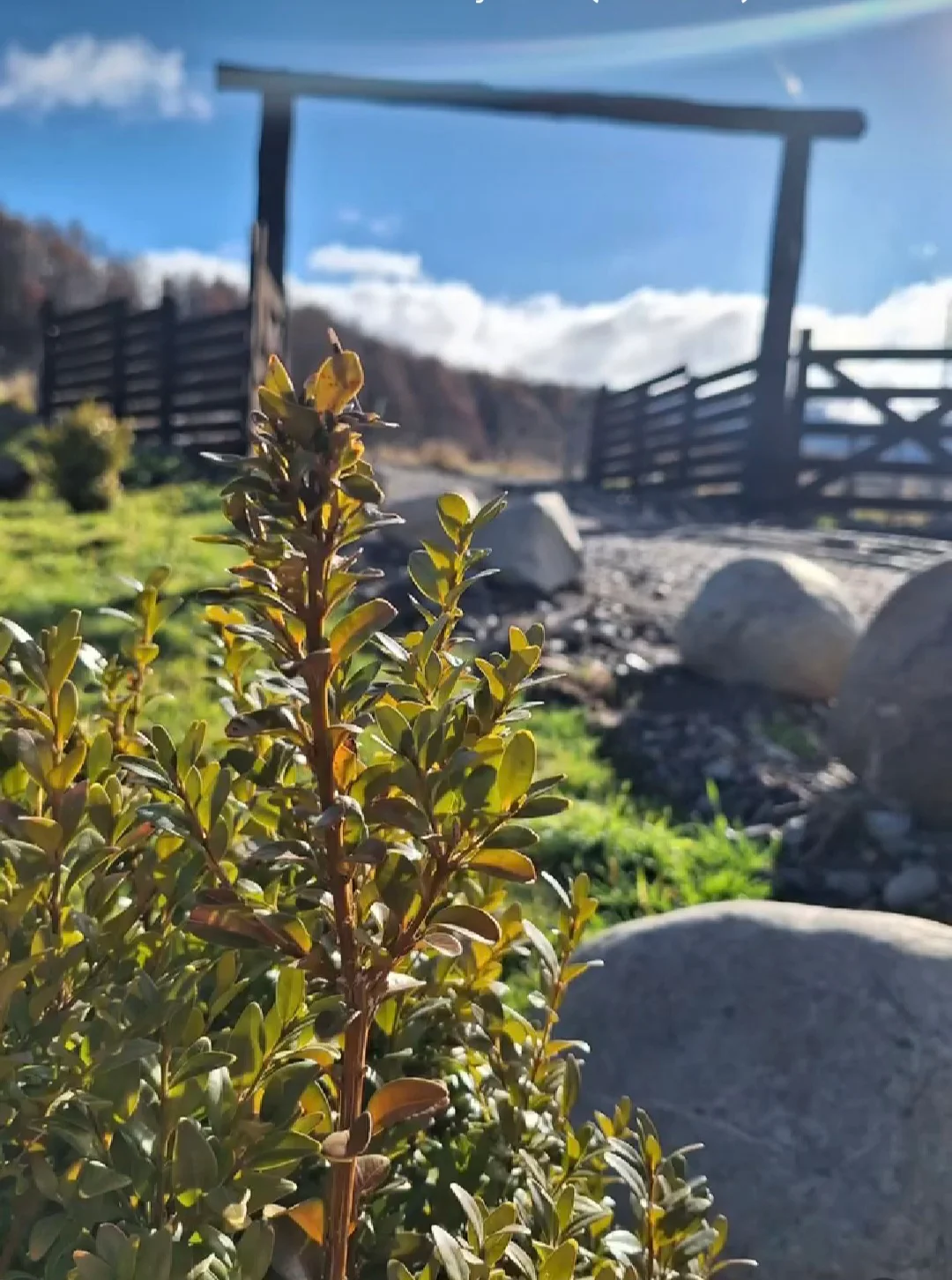 Flores y rincones al aire libre. Jardín de Tinaja Bellavista Coyhaique.